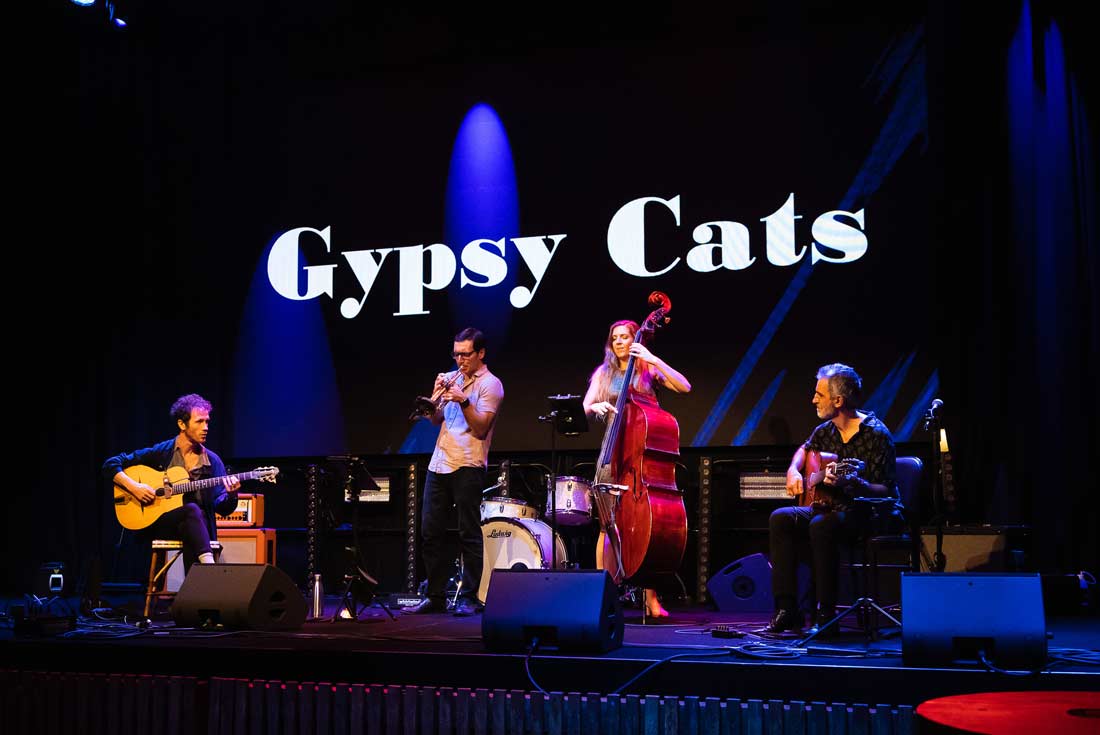 Gypsy Cats